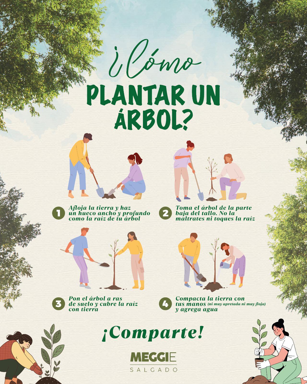 Cómo plantar un árbol
